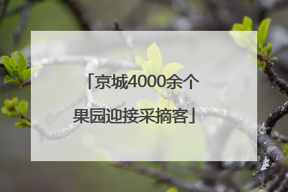 京城4000余个果园迎接采摘客