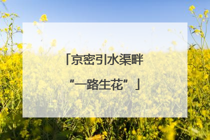 京密引水渠畔“一路生花”