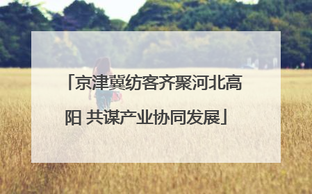 京津冀纺客齐聚河北高阳 共谋产业协同发展