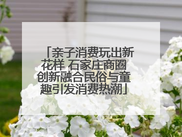 亲子消费玩出新花样 石家庄商圈创新融合民俗与童趣引发消费热潮