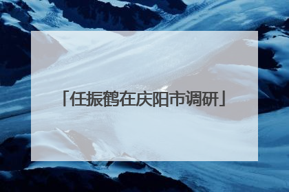 任振鹤在庆阳市调研