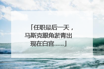 任职最后一天，马斯克眼角淤青出现在白宫……