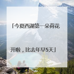 今夏西湖第一朵荷花开啦，比去年早5天