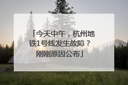 今天中午，杭州地铁1号线发生故障？刚刚原因公布