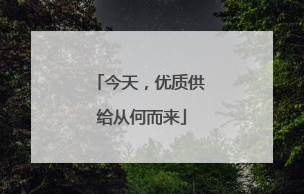今天，优质供给从何而来