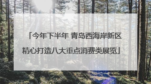 今年下半年 青岛西海岸新区精心打造八大重点消费类展览
