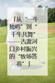 从“一牛独鸣”到“千牛共舞”——古渡河口乡村振兴的“牧场答卷”