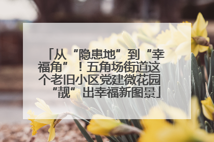 从“隐患地”到“幸福角”！五角场街道这个老旧小区党建微花园“靓”出幸福新图景