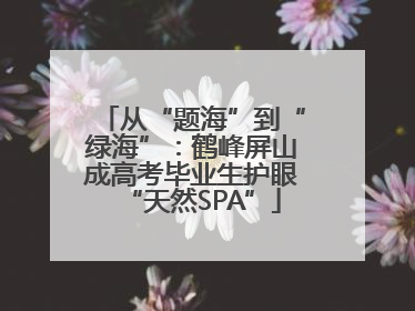从“题海”到“绿海”：鹤峰屏山成高考毕业生护眼“天然SPA”