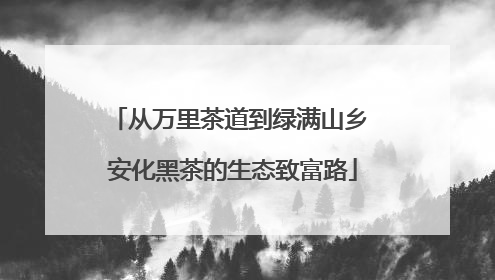 从万里茶道到绿满山乡 安化黑茶的生态致富路