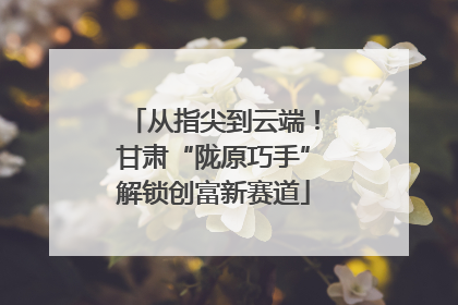 从指尖到云端！甘肃“陇原巧手”解锁创富新赛道