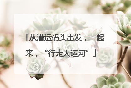 从漕运码头出发，一起来，“行走大运河”
