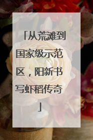 从荒滩到国家级示范区，阳新书写虾稻传奇