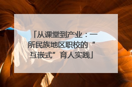 从课堂到产业：一所民族地区职校的“互嵌式”育人实践