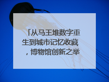 从马王堆数字重生到城市记忆收藏，博物馆创新之举如何守护历史、连接未来？