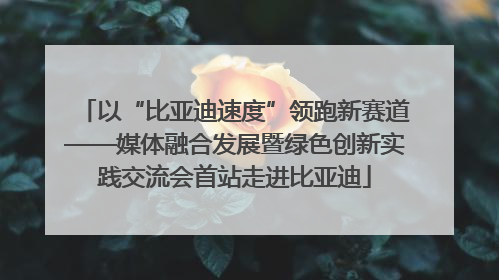 以“比亚迪速度”领跑新赛道——媒体融合发展暨绿色创新实践交流会首站走进比亚迪