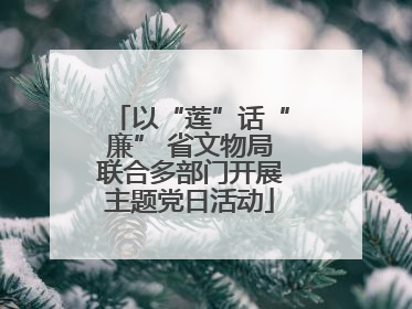 以“莲”话“廉” 省文物局联合多部门开展主题党日活动