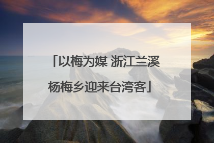 以梅为媒 浙江兰溪杨梅乡迎来台湾客