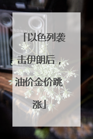 以色列袭击伊朗后，油价金价跳涨