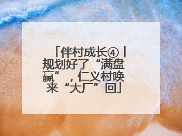 伴村成长④丨规划好了“满盘赢”，仁义村唤来“大厂”回