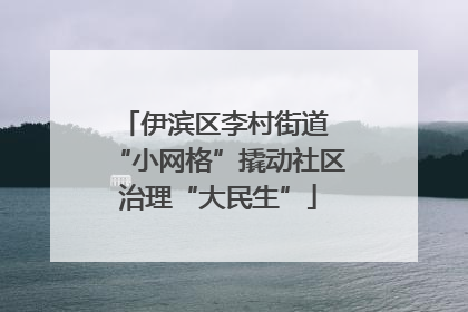 伊滨区李村街道 “小网格”撬动社区治理“大民生”