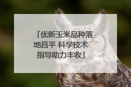 优新玉米品种落地昌平 科学技术指导助力丰收