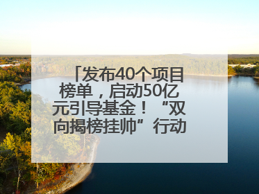 发布40个项目榜单，启动50亿元引导基金！“双向揭榜挂帅”行动成果丰硕