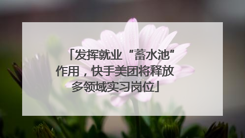 发挥就业“蓄水池”作用，快手美团将释放多领域实习岗位