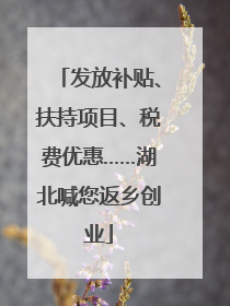 发放补贴、扶持项目、税费优惠……湖北喊您返乡创业
