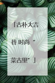 古朴大吉巷 时尚“菜古里”