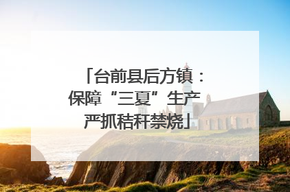 台前县后方镇：保障“三夏”生产 严抓秸秆禁烧