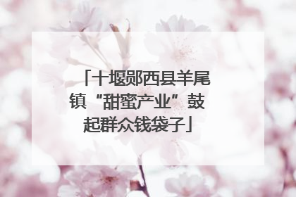 十堰郧西县羊尾镇“甜蜜产业”鼓起群众钱袋子
