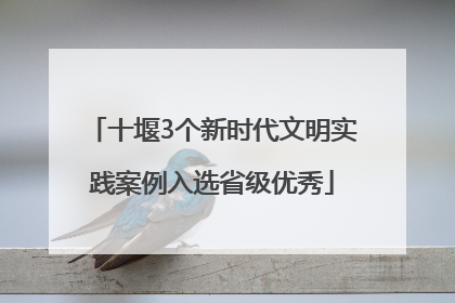 十堰3个新时代文明实践案例入选省级优秀