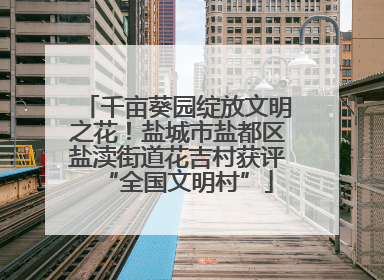 千亩葵园绽放文明之花！盐城市盐都区盐渎街道花吉村获评“全国文明村”