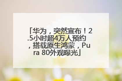华为，突然宣布！2.5小时超4万人预约，搭载原生鸿蒙，Pura 80外观曝光