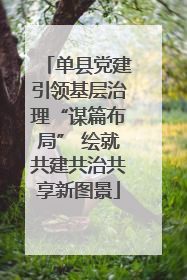 单县党建引领基层治理“谋篇布局” 绘就共建共治共享新图景