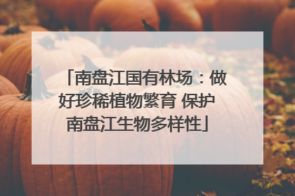 南盘江国有林场：做好珍稀植物繁育 保护南盘江生物多样性