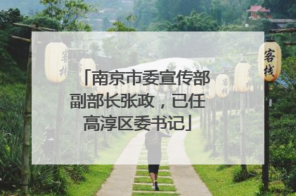 南京市委宣传部副部长张政，已任高淳区委书记