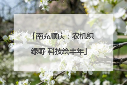 南充顺庆：农机织绿野 科技绘丰年