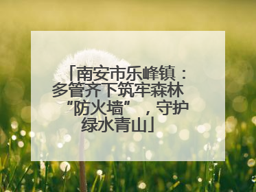 南安市乐峰镇：多管齐下筑牢森林“防火墙”，守护绿水青山