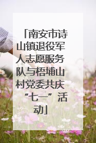 南安市诗山镇退役军人志愿服务队与梧埔山村党委共庆“七一”活动