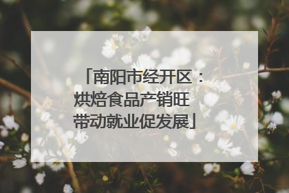 南阳市经开区：烘焙食品产销旺 带动就业促发展