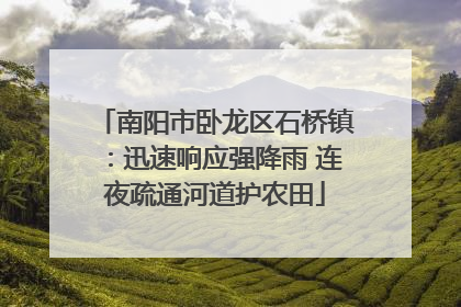 南阳市卧龙区石桥镇：迅速响应强降雨 连夜疏通河道护农田
