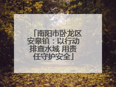 南阳市卧龙区安皋镇：以行动排查水域 用责任守护安全