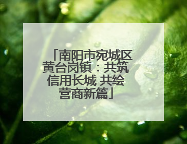 南阳市宛城区黄台岗镇：共筑信用长城 共绘营商新篇