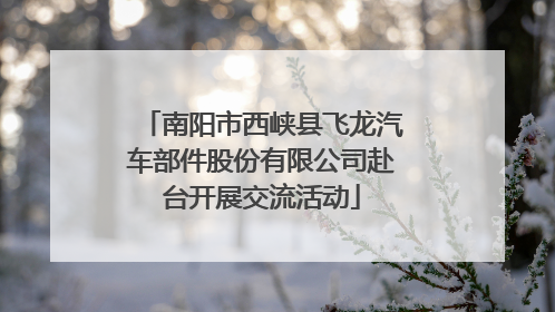 南阳市西峡县飞龙汽车部件股份有限公司赴台开展交流活动