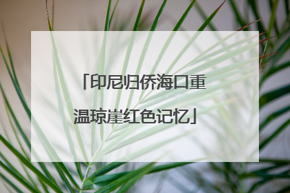 印尼归侨海口重温琼崖红色记忆