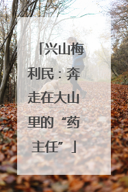 兴山梅利民：奔走在大山里的“药主任”