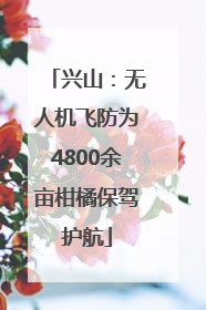 兴山：无人机飞防为4800余亩柑橘保驾护航