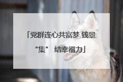 党群连心共富梦 钱景 “集” 结幸福力